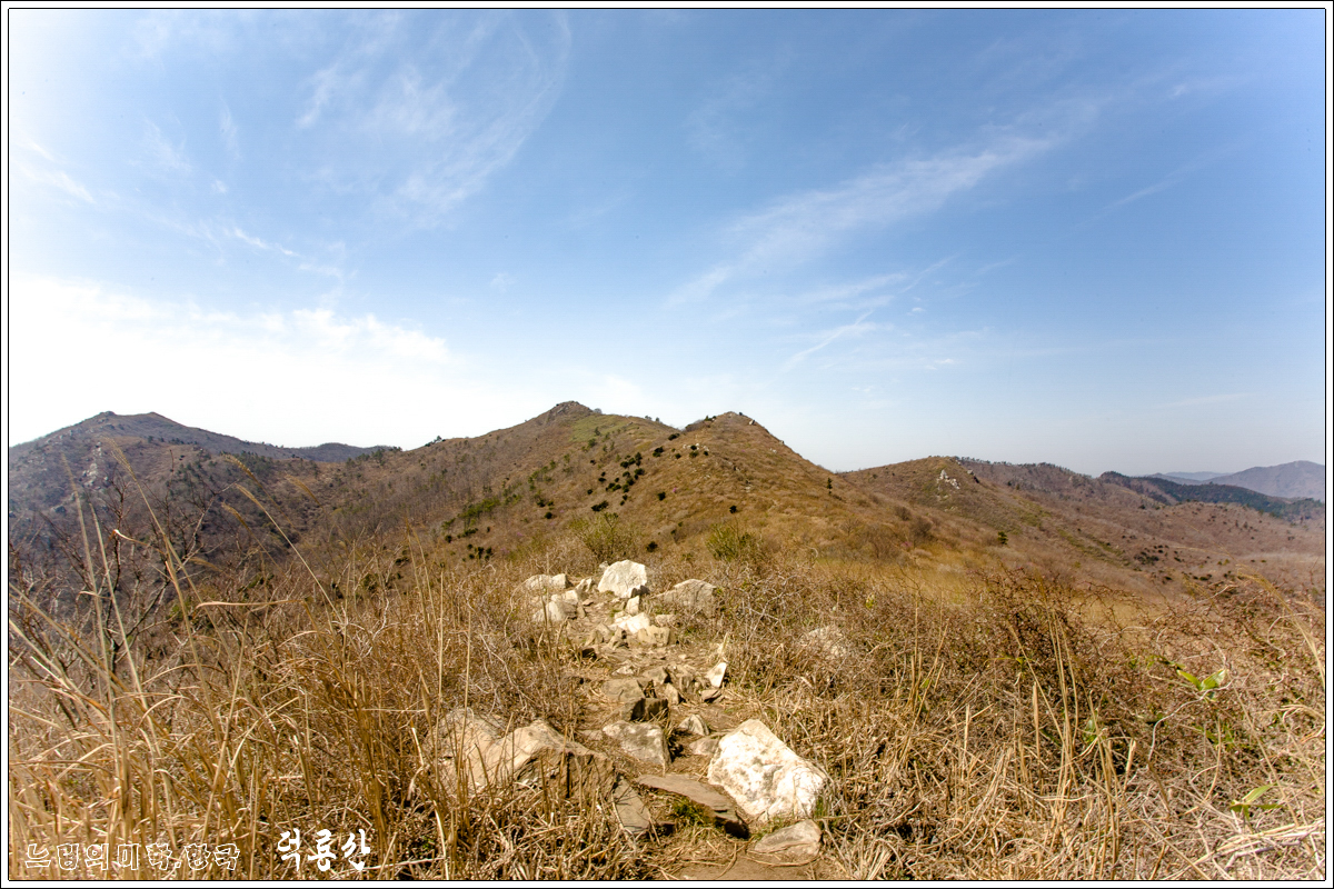 deongnyongsan40.jpg