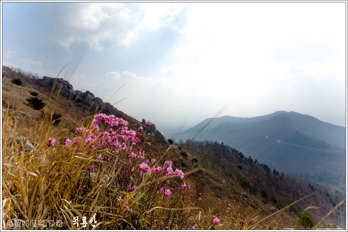 deongnyongsan54.jpg