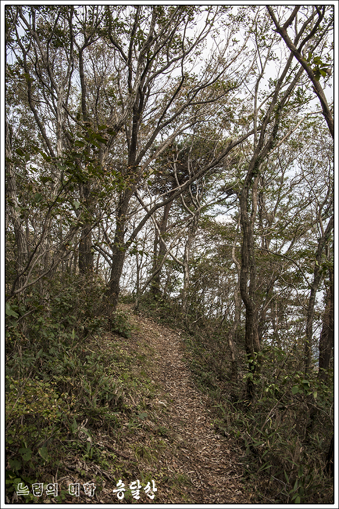 seungdalsan31.jpg