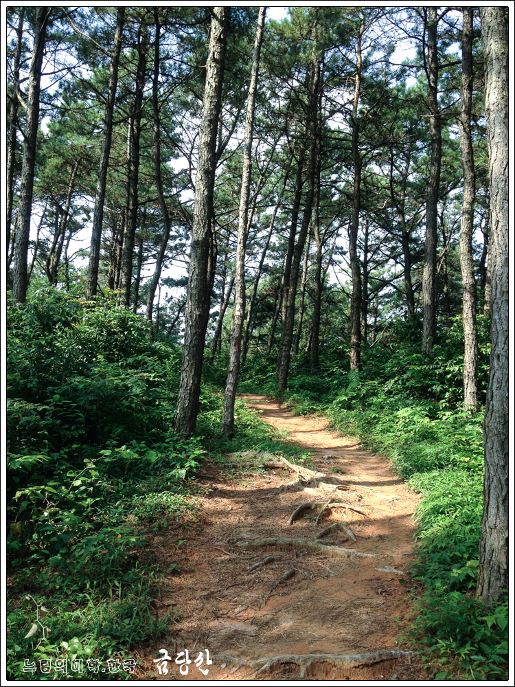 geumdang02.jpg