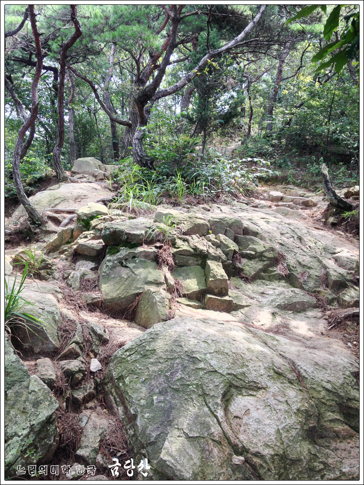 geumdang26.jpg