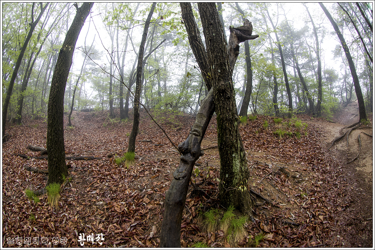 hwangmaesan21.jpg