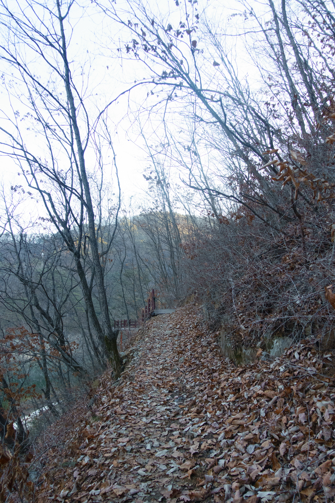hwacheon15.jpg